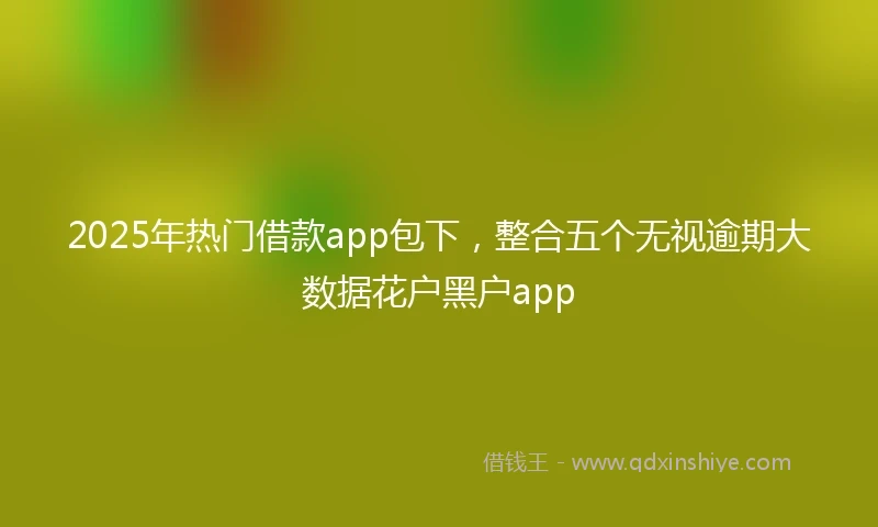 2025年热门借款app包下，整合五个无视逾期大数据花户黑户app