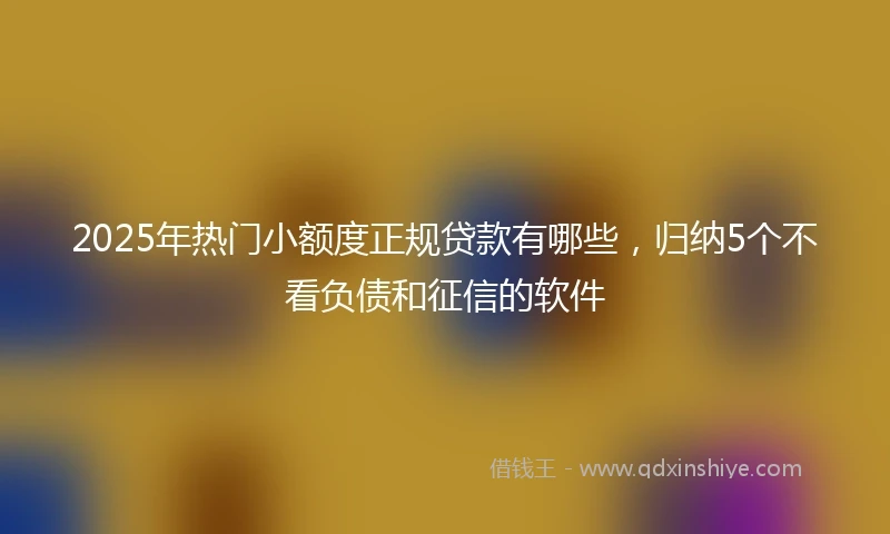 2025年热门小额度正规贷款有哪些，归纳5个不看负债和征信的软件