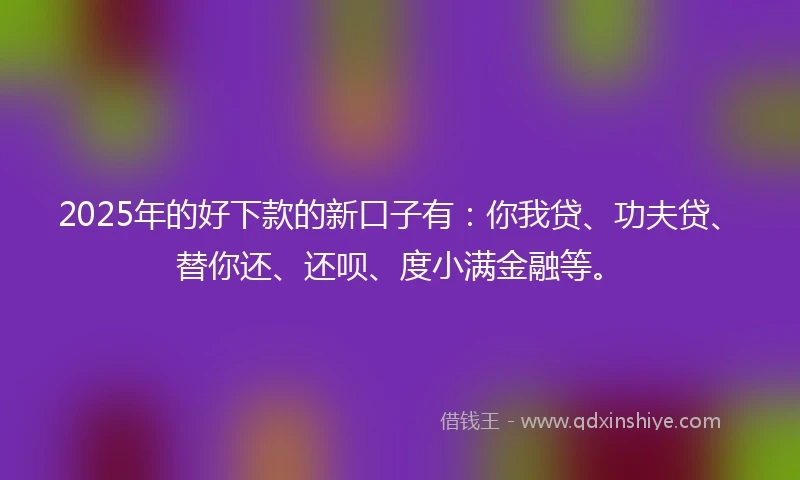 2025年的好下款的新口子有：你我贷、功夫贷、替你还、还呗、度小满金融等。