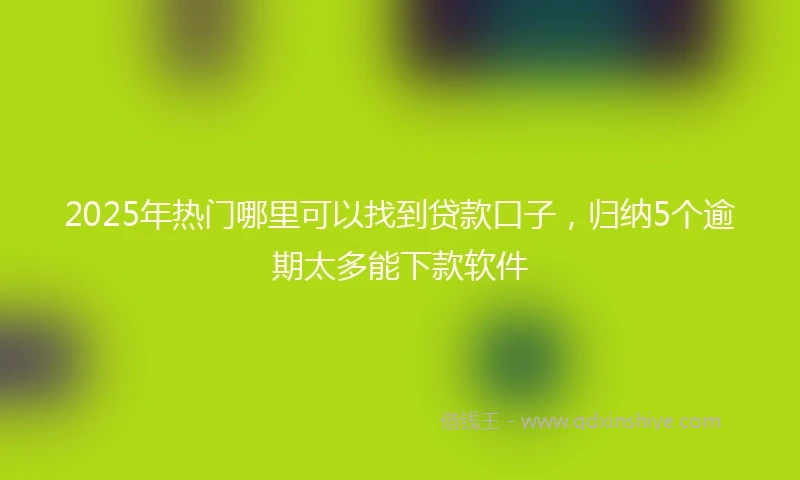 2025年热门哪里可以找到贷款口子，归纳5个逾期太多能下款软件