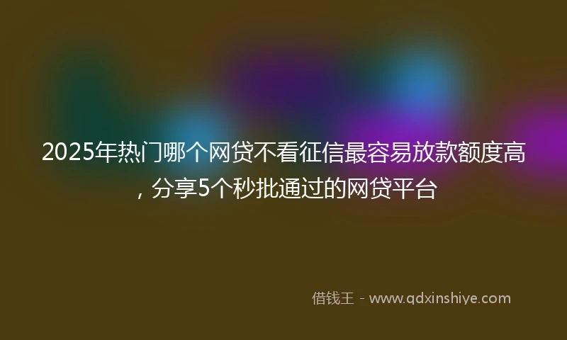 2025年热门哪个网贷不看征信最容易放款额度高，分享5个秒批通过的网贷平台