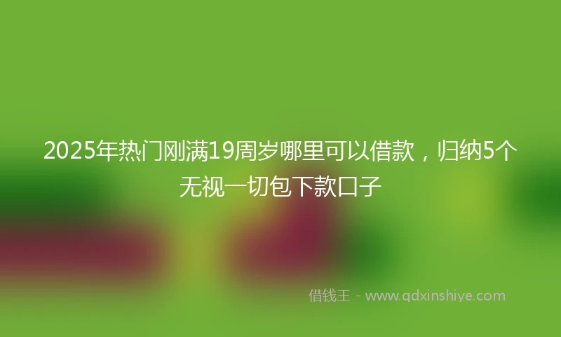 2025年热门刚满19周岁哪里可以借款，归纳5个无视一切包下款口子