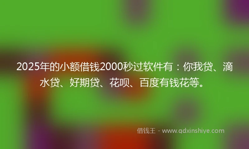 2025年的小额借钱2000秒过软件有：你我贷、滴水贷、好期贷、花呗、百度有钱花等。