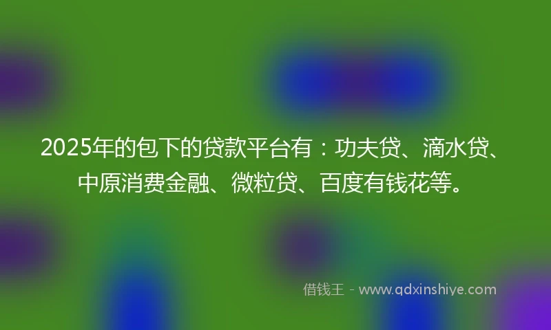 2025年的包下的贷款平台有：功夫贷、滴水贷、中原消费金融、微粒贷、百度有钱花等。