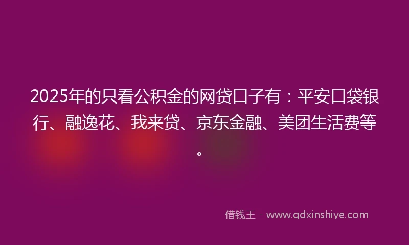 2025年的只看公积金的网贷口子有：平安口袋银行、融逸花、我来贷、京东金融、美团生活费等。