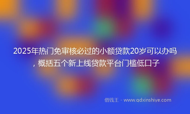 2025年热门免审核必过的小额贷款20岁可以办吗，概括五个新上线贷款平台门槛低口子