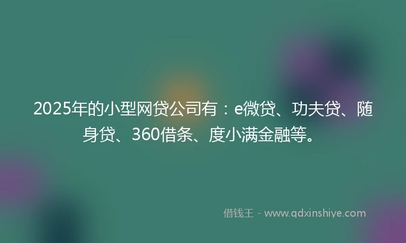 2025年的小型网贷公司有：e微贷、功夫贷、随身贷、360借条、度小满金融等。