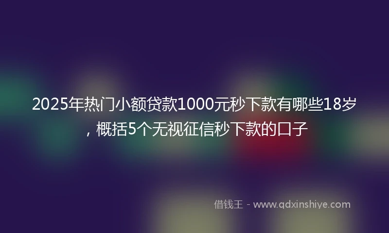 2025年热门小额贷款1000元秒下款有哪些18岁，概括5个无视征信秒下款的口子