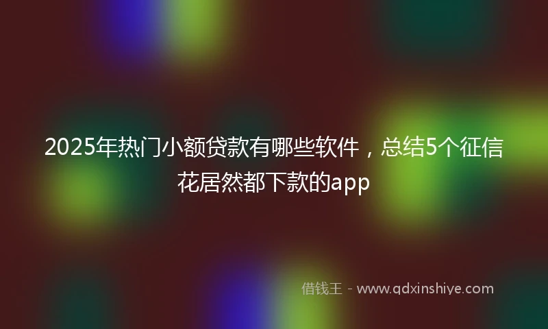 2025年热门小额贷款有哪些软件，总结5个征信花居然都下款的app