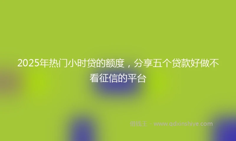 2025年热门小时贷的额度，分享五个贷款好做不看征信的平台