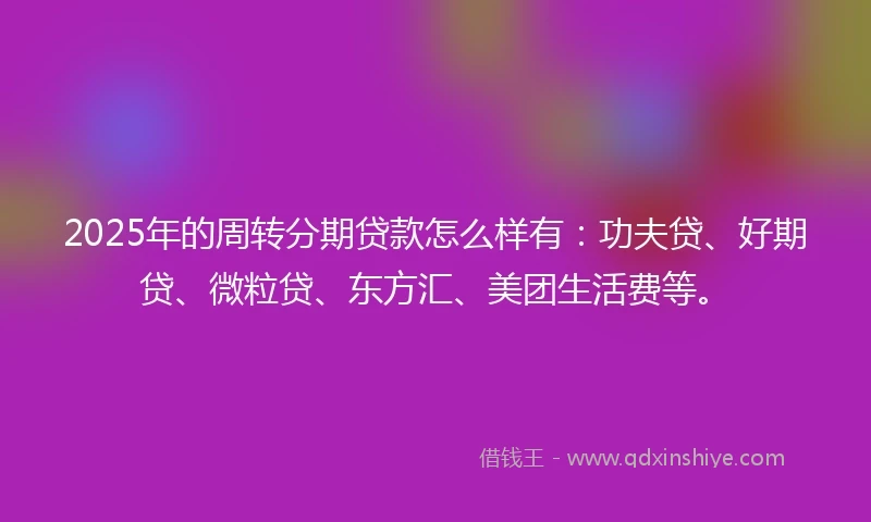 2025年的周转分期贷款怎么样有：功夫贷、好期贷、微粒贷、东方汇、美团生活费等。
