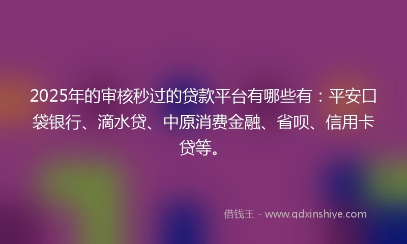 2025年的审核秒过的贷款平台有哪些有：平安口袋银行、滴水贷、中原消费金融、省呗、信用卡贷等。