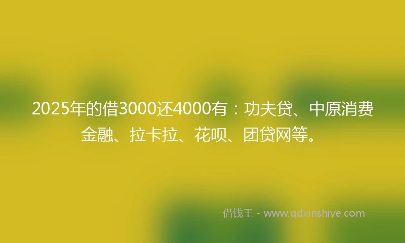 2025年的借3000还4000有：功夫贷、中原消费金融、拉卡拉、花呗、团贷网等。