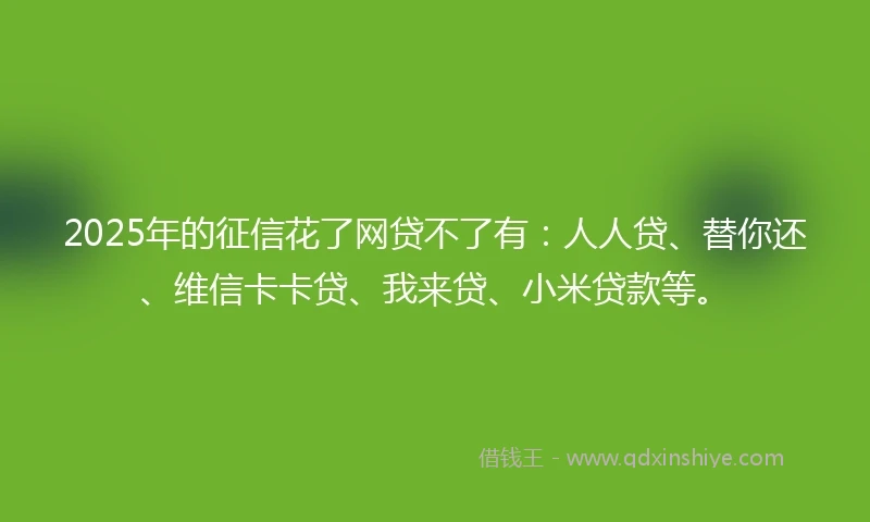 2025年的征信花了网贷不了有：人人贷、替你还、维信卡卡贷、我来贷、小米贷款等。