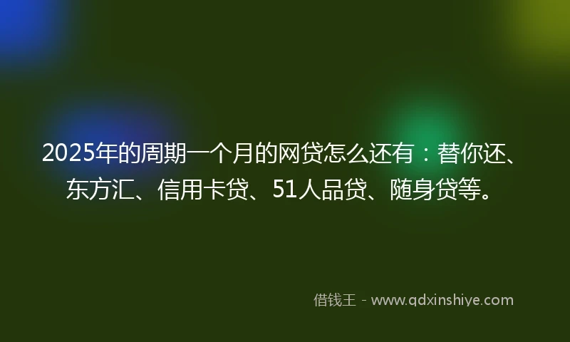 2025年的周期一个月的网贷怎么还有：替你还、东方汇、信用卡贷、51人品贷、随身贷等。