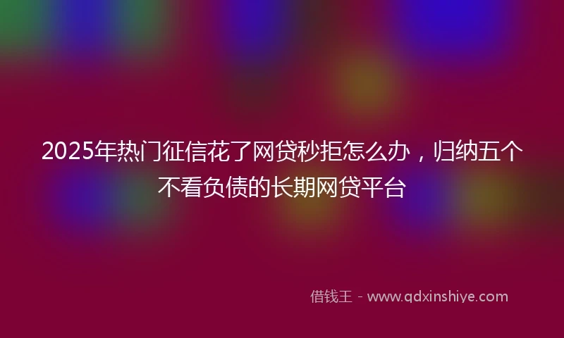 2025年热门征信花了网贷秒拒怎么办，归纳五个不看负债的长期网贷平台