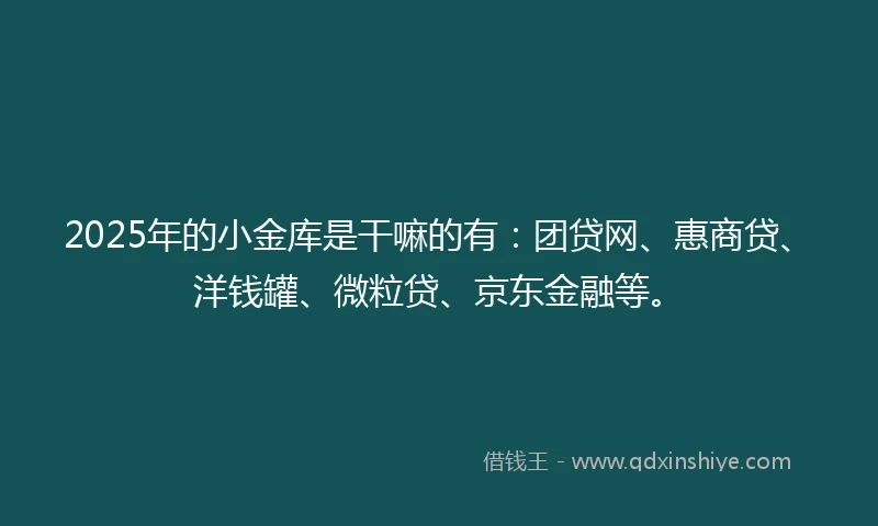 2025年的小金库是干嘛的有：团贷网、惠商贷、洋钱罐、微粒贷、京东金融等。