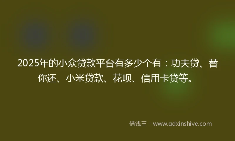 2025年的小众贷款平台有多少个有：功夫贷、替你还、小米贷款、花呗、信用卡贷等。