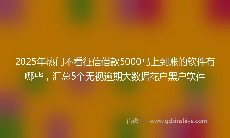 2025年热门不看征信借款5000马上到账的软件有哪些，汇总5个无视逾期大数据花户黑户软件
