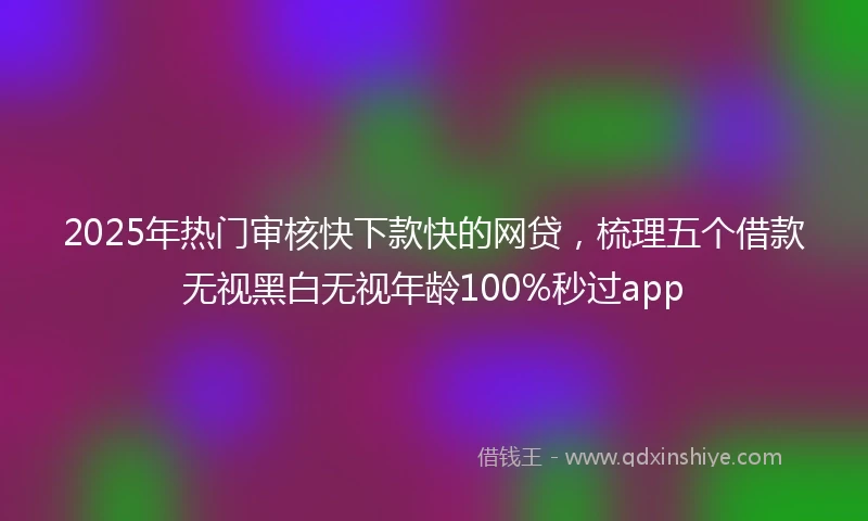 2025年热门审核快下款快的网贷，梳理五个借款无视黑白无视年龄100%秒过app