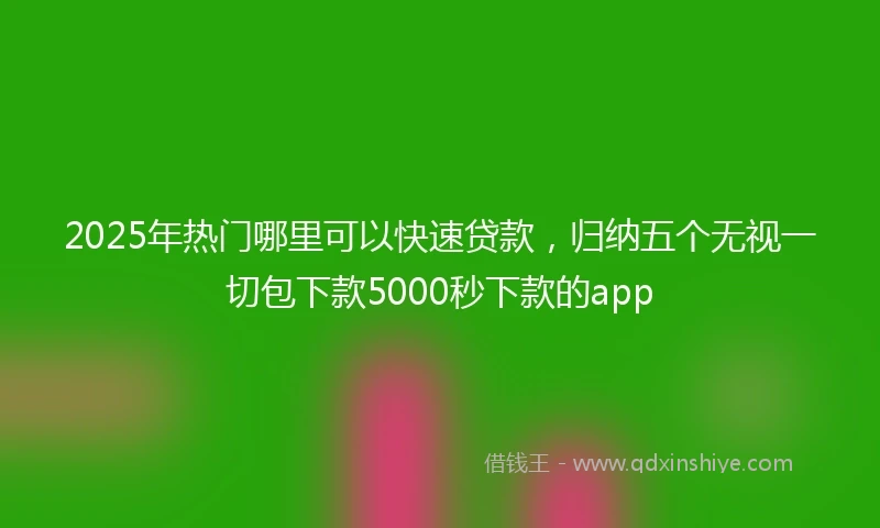 2025年热门哪里可以快速贷款，归纳五个无视一切包下款5000秒下款的app