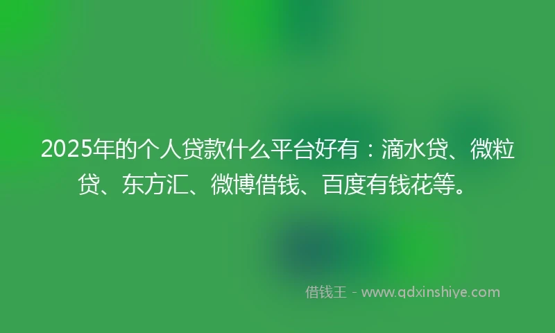 2025年的个人贷款什么平台好有：滴水贷、微粒贷、东方汇、微博借钱、百度有钱花等。