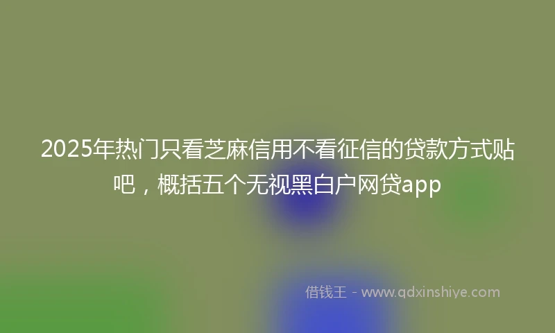 2025年热门只看芝麻信用不看征信的贷款方式贴吧，概括五个无视黑白户网贷app
