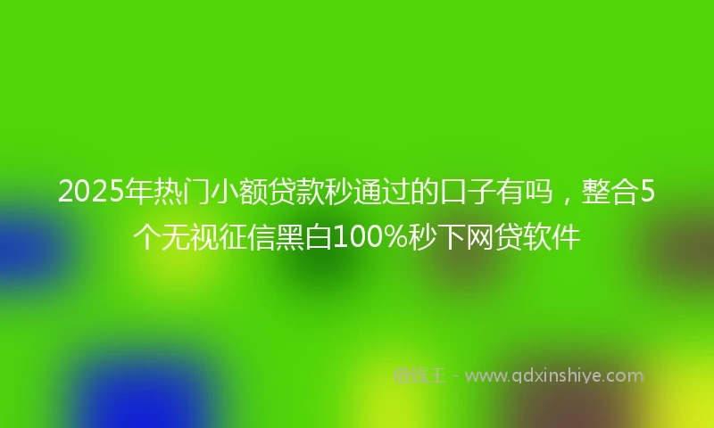 2025年热门小额贷款秒通过的口子有吗，整合5个无视征信黑白100%秒下网贷软件