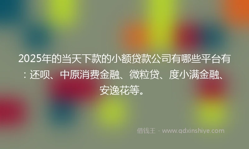 2025年的当天下款的小额贷款公司有哪些平台有：还呗、中原消费金融、微粒贷、度小满金融、安逸花等。