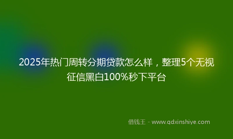 2025年热门周转分期贷款怎么样，整理5个无视征信黑白100%秒下平台