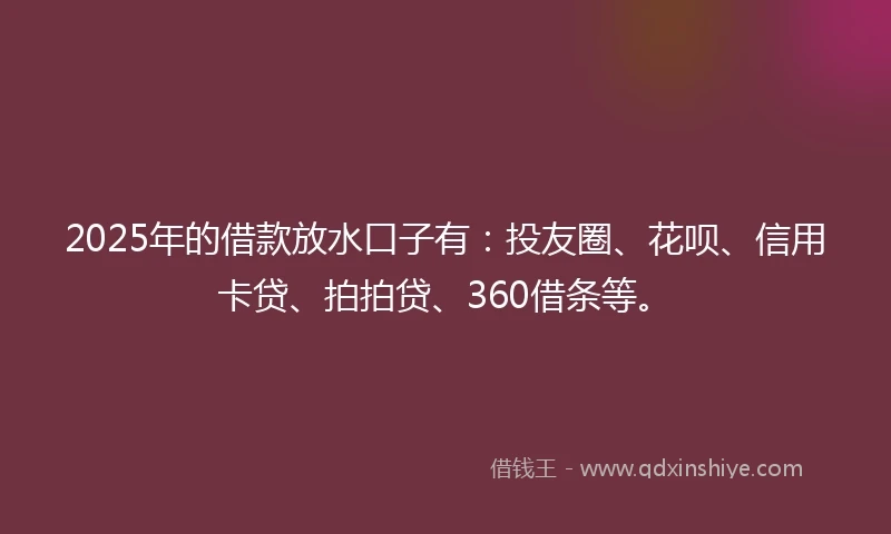 2025年的借款放水口子有：投友圈、花呗、信用卡贷、拍拍贷、360借条等。