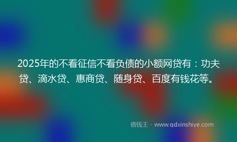 2025年的不看征信不看负债的小额网贷有：功夫贷、滴水贷、惠商贷、随身贷、百度有钱花等。