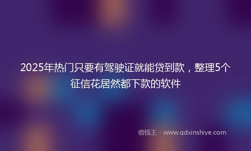 2025年热门只要有驾驶证就能贷到款，整理5个征信花居然都下款的软件