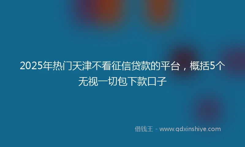 2025年热门天津不看征信贷款的平台，概括5个无视一切包下款口子