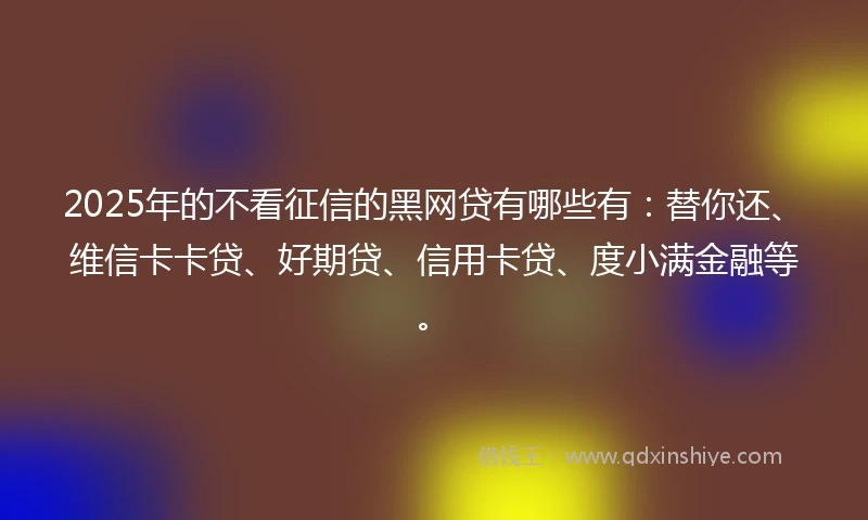 2025年的不看征信的黑网贷有哪些有：替你还、维信卡卡贷、好期贷、信用卡贷、度小满金融等。