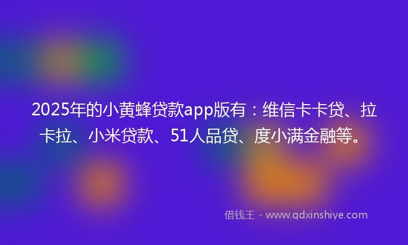 2025年的小黄蜂贷款app版有：维信卡卡贷、拉卡拉、小米贷款、51人品贷、度小满金融等。