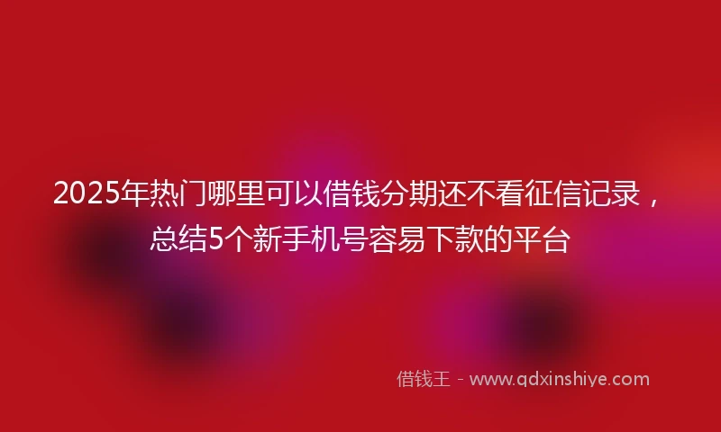2025年热门哪里可以借钱分期还不看征信记录，总结5个新手机号容易下款的平台