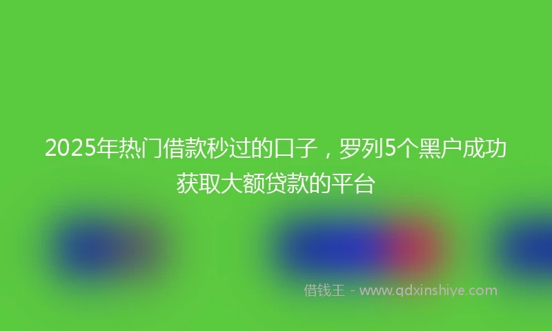 2025年热门借款秒过的口子，罗列5个黑户成功获取大额贷款的平台