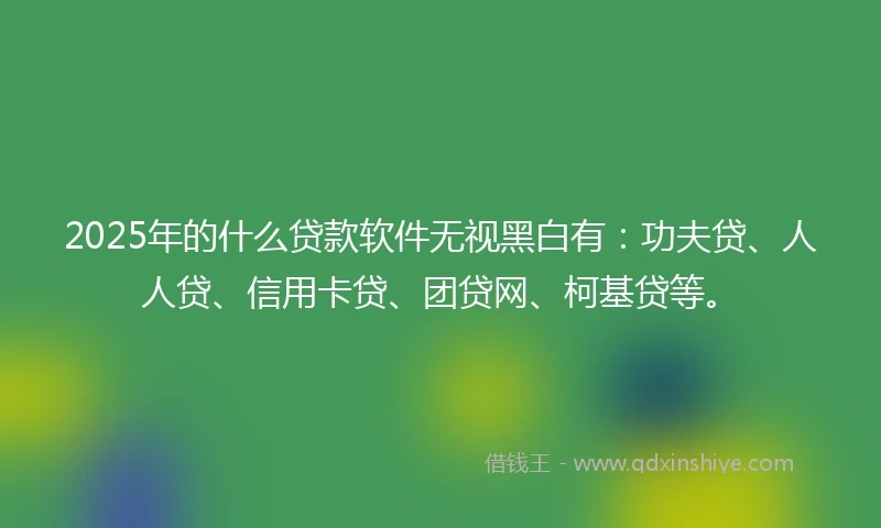 2025年的什么贷款软件无视黑白有：功夫贷、人人贷、信用卡贷、团贷网、柯基贷等。