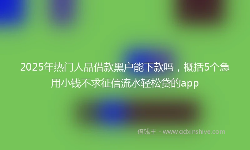 2025年热门人品借款黑户能下款吗，概括5个急用小钱不求征信流水轻松贷的app
