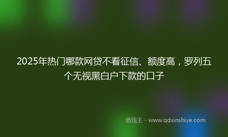 2025年热门哪款网贷不看征信、额度高，罗列五个无视黑白户下款的口子