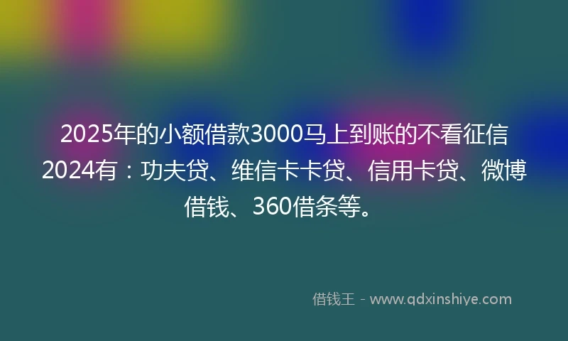 2025年的小额借款3000马上到账的不看征信2024有：功夫贷、维信卡卡贷、信用卡贷、微博借钱、360借条等。