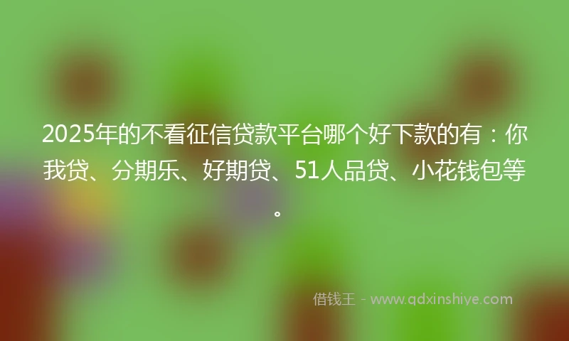 2025年的不看征信贷款平台哪个好下款的有：你我贷、分期乐、好期贷、51人品贷、小花钱包等。