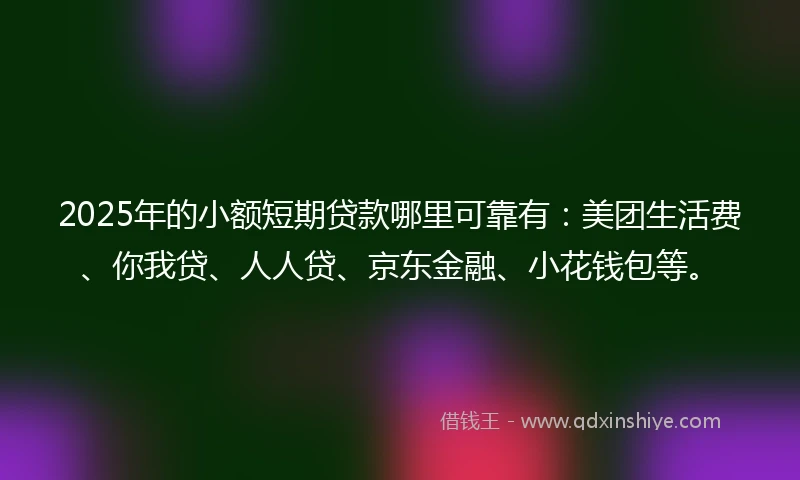 2025年的小额短期贷款哪里可靠有：美团生活费、你我贷、人人贷、京东金融、小花钱包等。