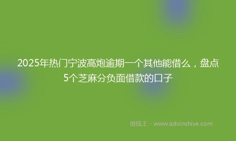 2025年热门宁波高炮逾期一个其他能借么，盘点5个芝麻分负面借款的口子