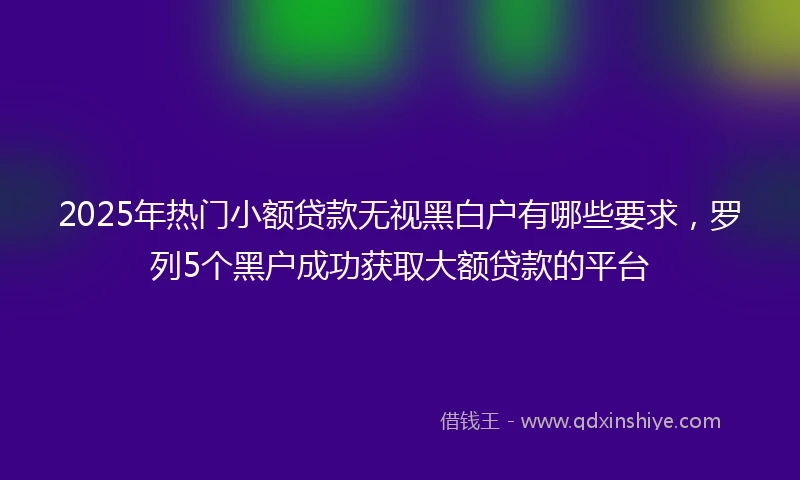 2025年热门小额贷款无视黑白户有哪些要求，罗列5个黑户成功获取大额贷款的平台