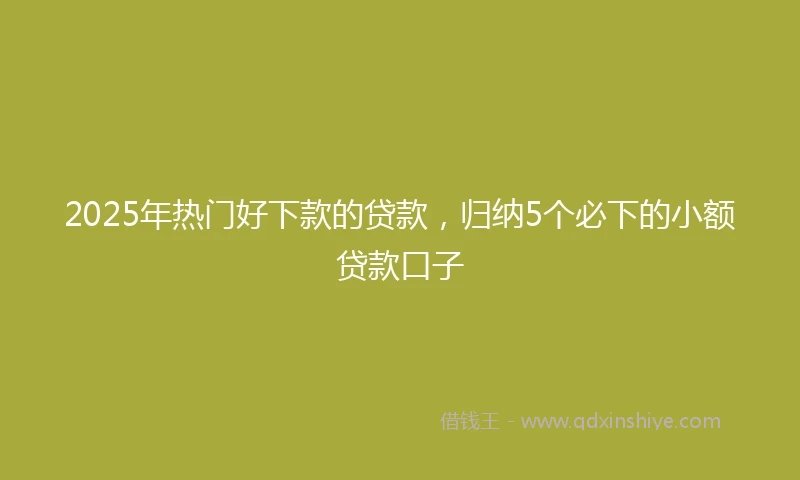 2025年热门好下款的贷款，归纳5个必下的小额贷款口子