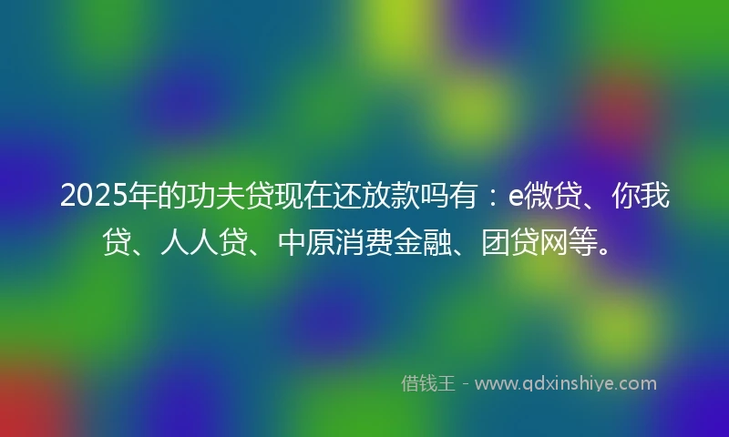 2025年的功夫贷现在还放款吗有：e微贷、你我贷、人人贷、中原消费金融、团贷网等。