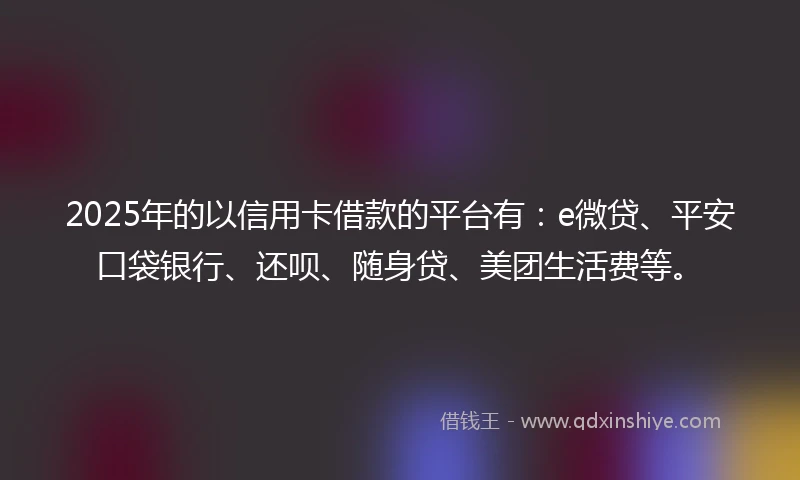 2025年的以信用卡借款的平台有：e微贷、平安口袋银行、还呗、随身贷、美团生活费等。