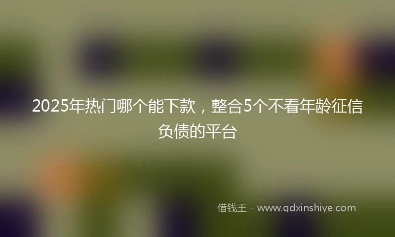 2025年热门哪个能下款，整合5个不看年龄征信负债的平台
